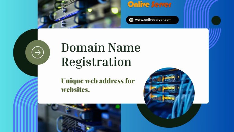 Check Website Domain Name Registration