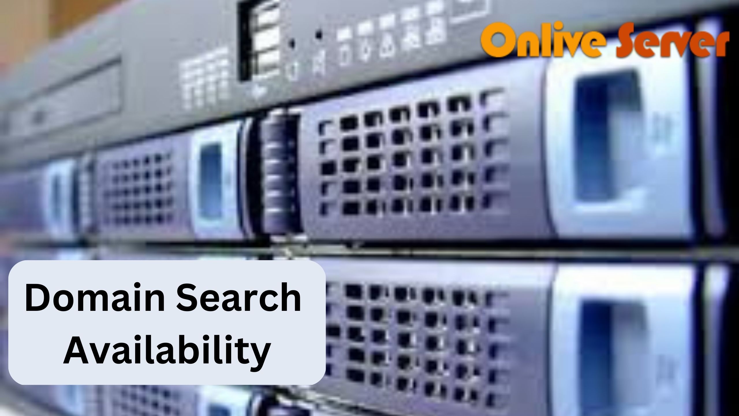 Domain Search Availability